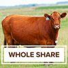 Whole Beef Deposit